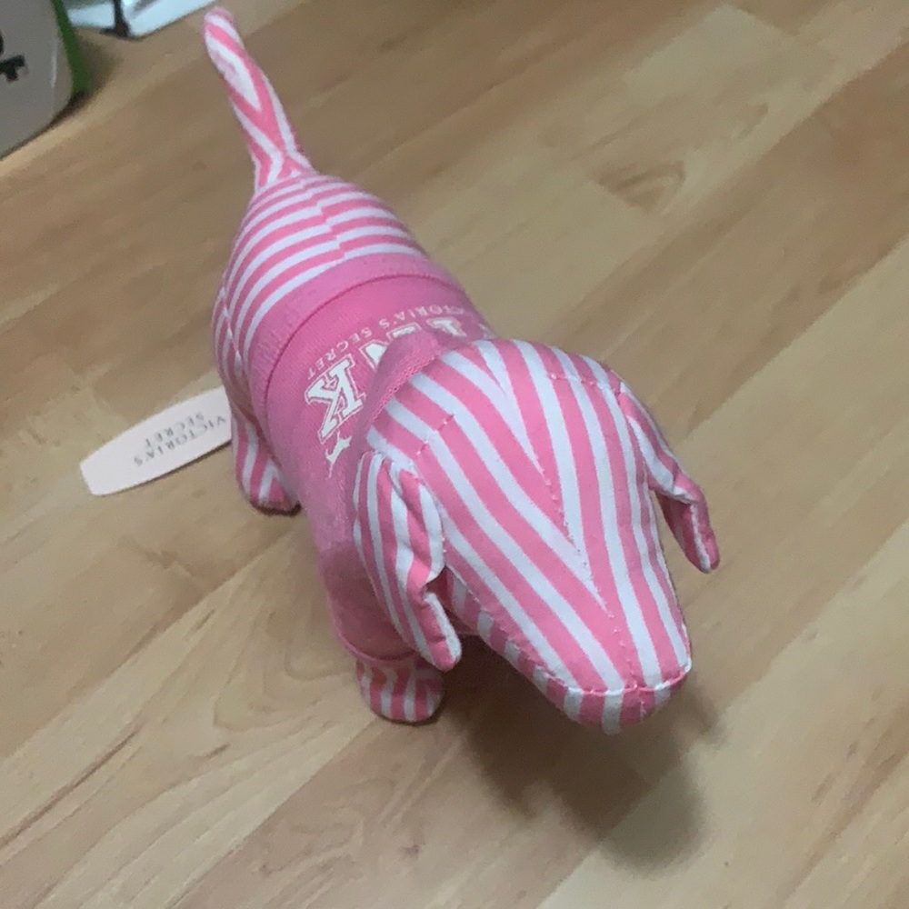 New pink dog